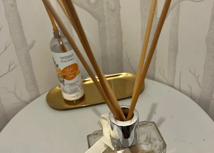 3p Classe 3 Etoiles Centre Διαμέρισμα Trouville-sur-Mer